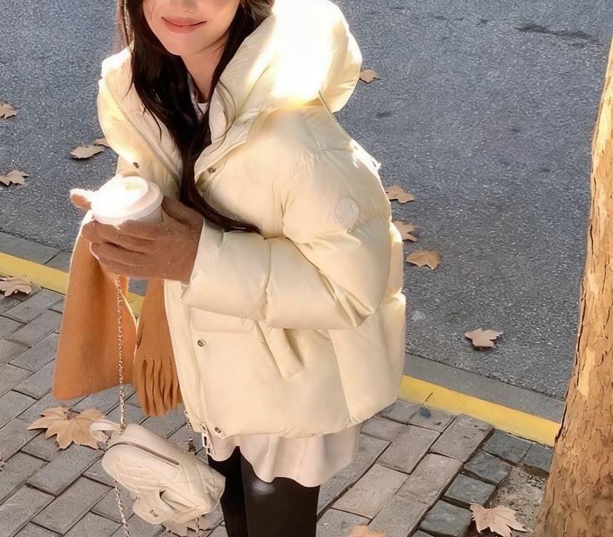 Plain Hooded Down Zip Puffer Jacket