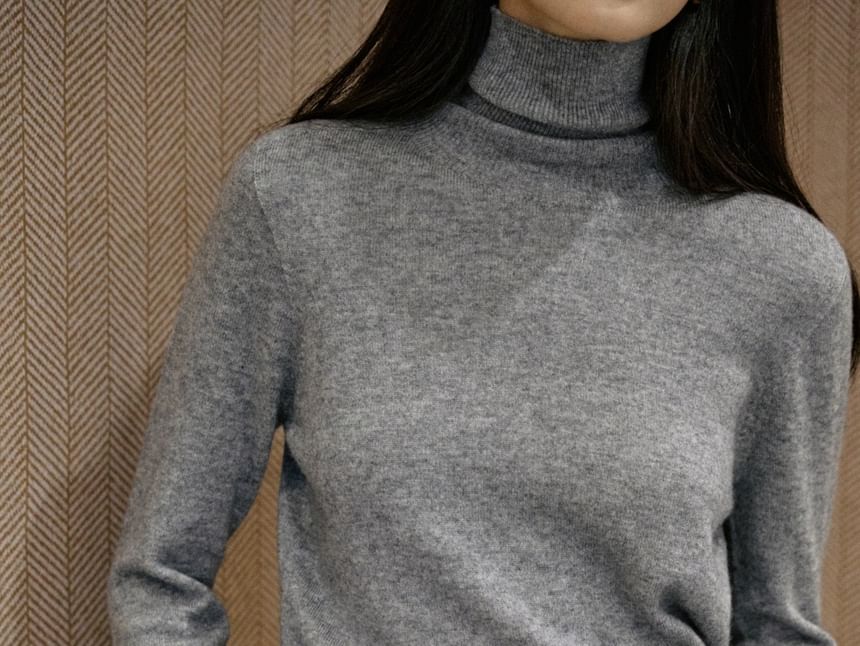 Long-Sleeve Turtleneck Knit Top