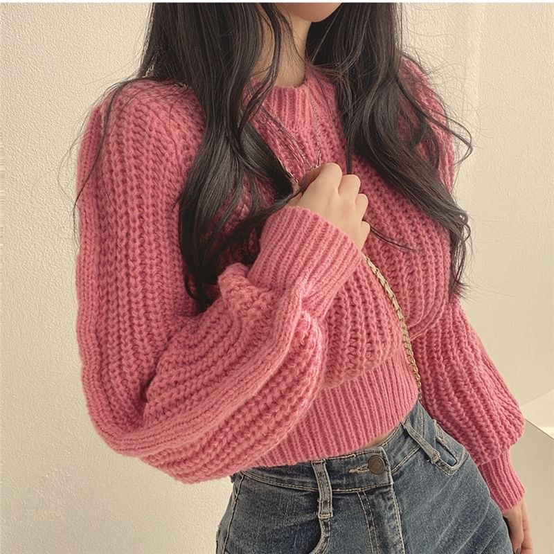 Crew Neck Plain Chunky Knit Cropped Sweater