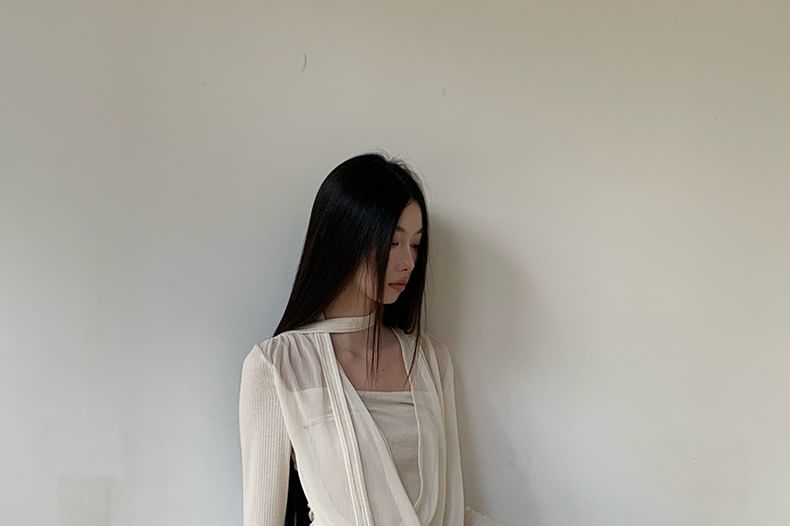 Mesh Wrap Top with Mock Layer and Long Sheer Sleeves