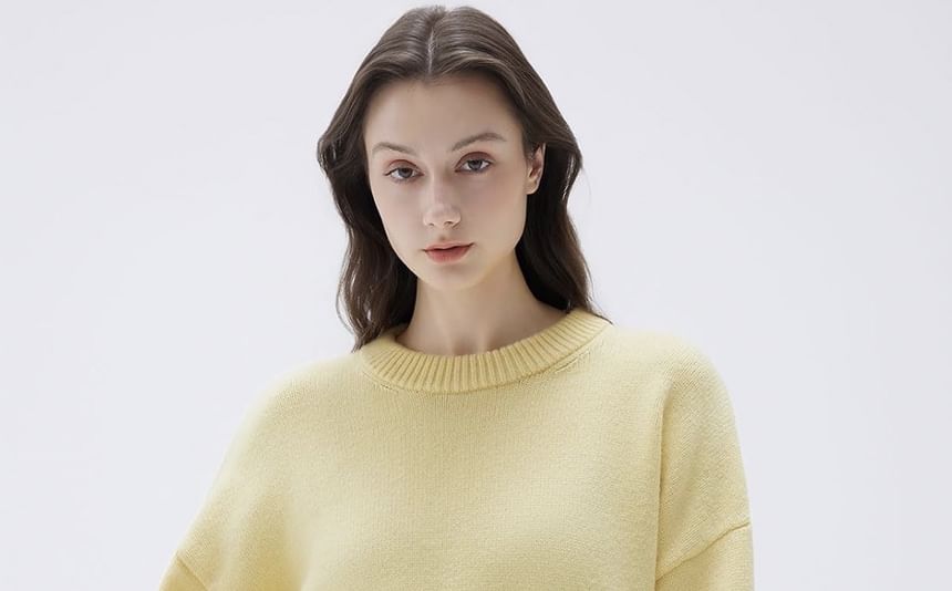 Crew Neck Plain Casual Sweater