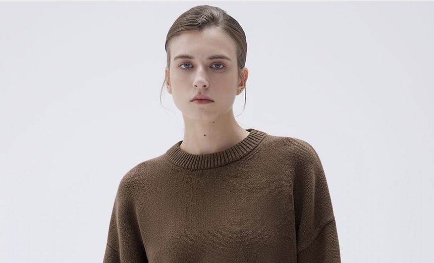Crew Neck Plain Casual Sweater