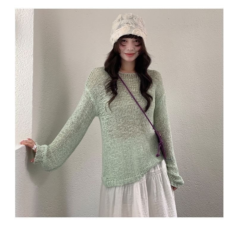 Perforated Crew Neck Knit Top with Long Sleeves