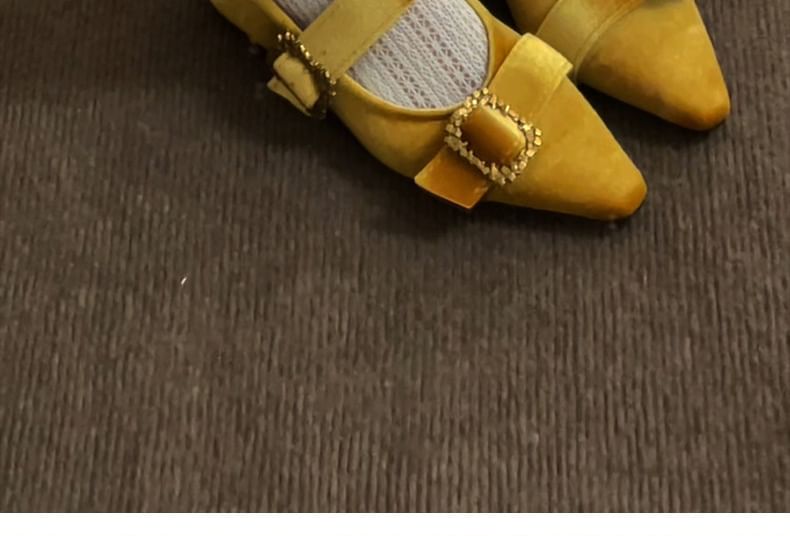 Pointy Buckled Double Strap Mary Jane Shoes