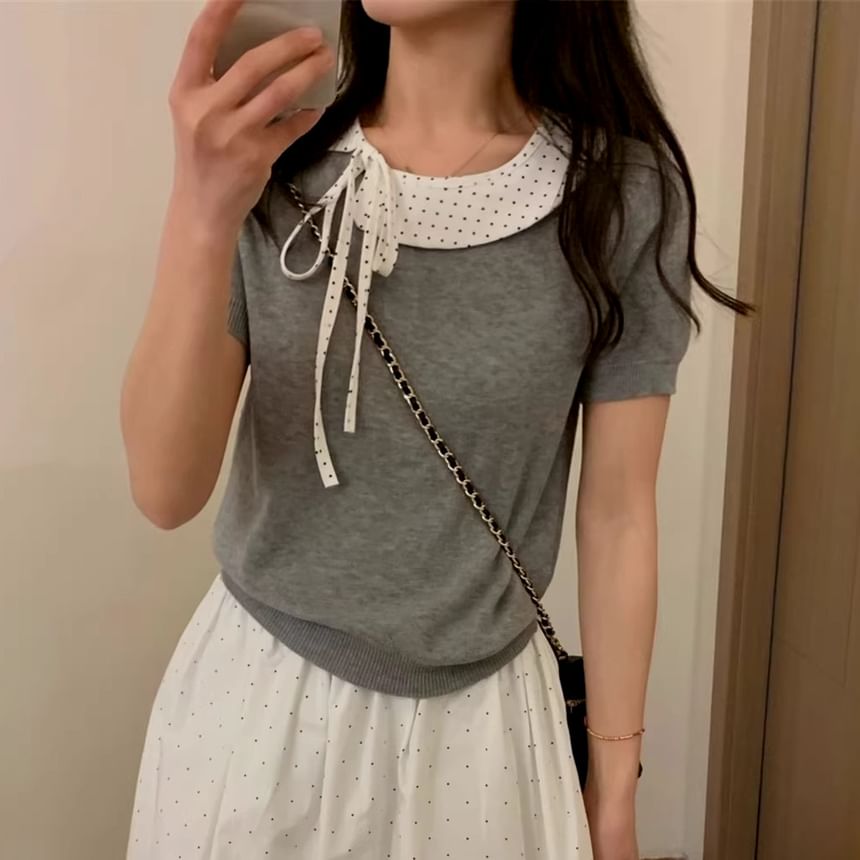 Dotted Panel Knit Top with Short Sleeves