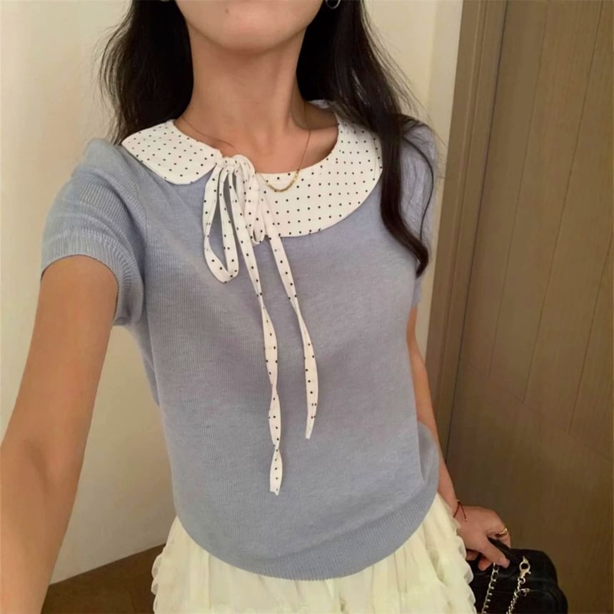 Dotted Panel Knit Top with Short Sleeves