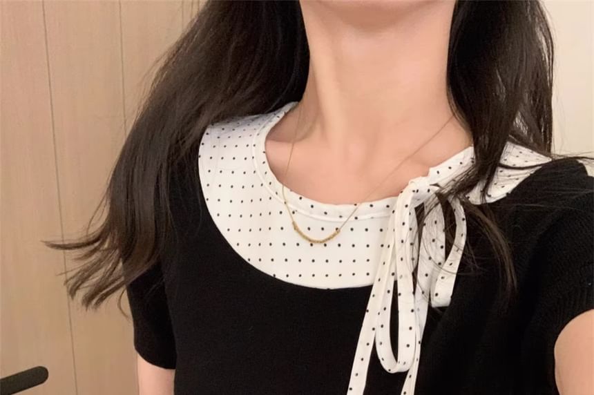 Dotted Panel Knit Top with Short Sleeves