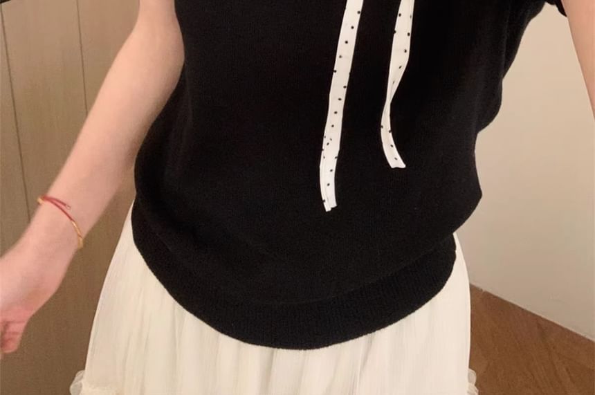 Dotted Panel Knit Top with Short Sleeves