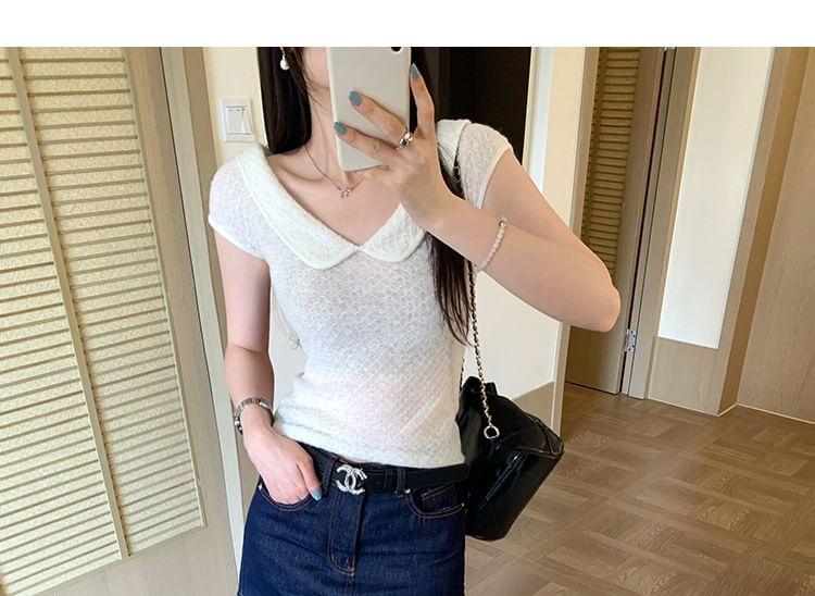 Short-Sleeve Collared Plain Textured Knit Top