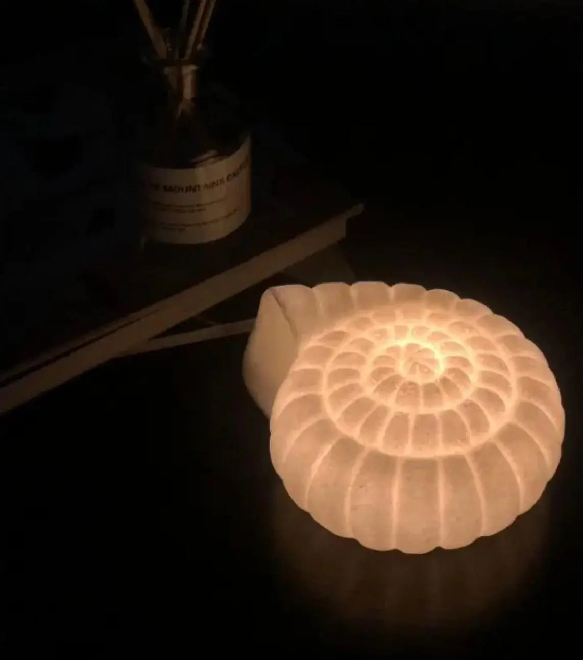 Kawaii Aesthetic Y2K Cute Fairy Nordic Shell Lamps MK Kawaii Store