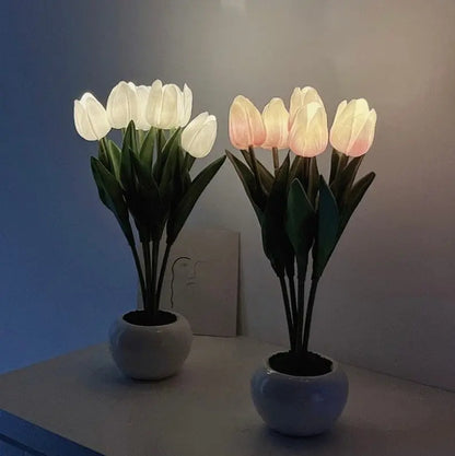 Lampe Tulipe Veilleuse 6 PCS LED - Lune 