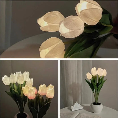 Lampe Tulipe Veilleuse 6 PCS LED - Lune 