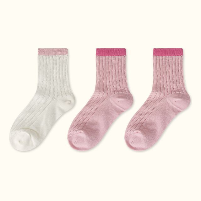 Contrast Trim Pointelle Knit Socks / Set