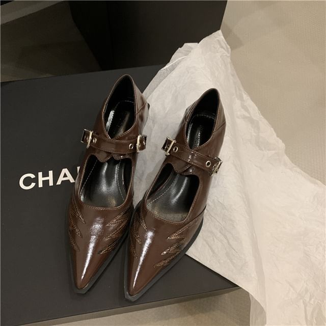 Jane Shoes Pointy Mary Paneled