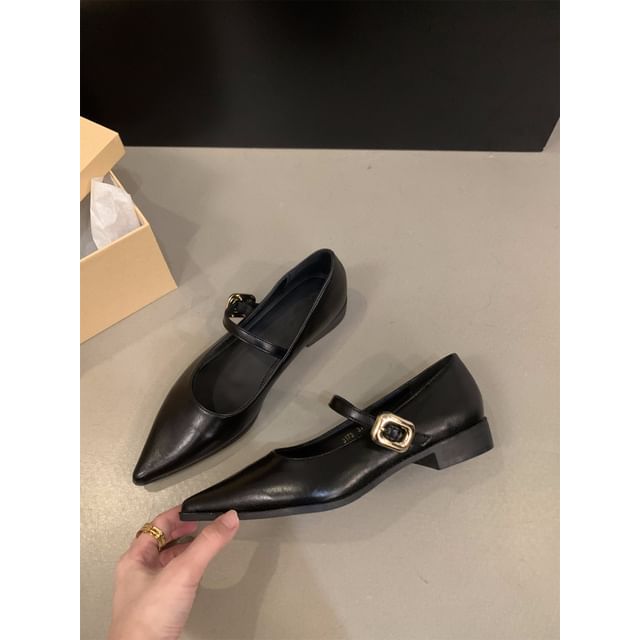 Shoes Pointy Mary Jane Toe