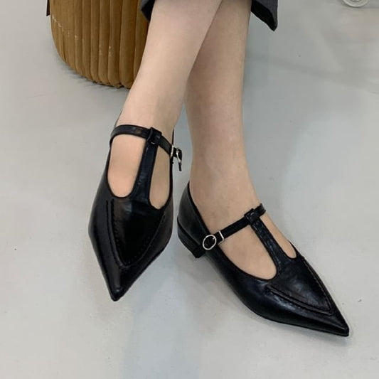 Chunky Heel Pointed Toe T-Strap Mary Jane Pumps