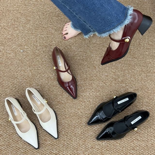 Mary Pointed Shoes Chunky Heel Toe Jane