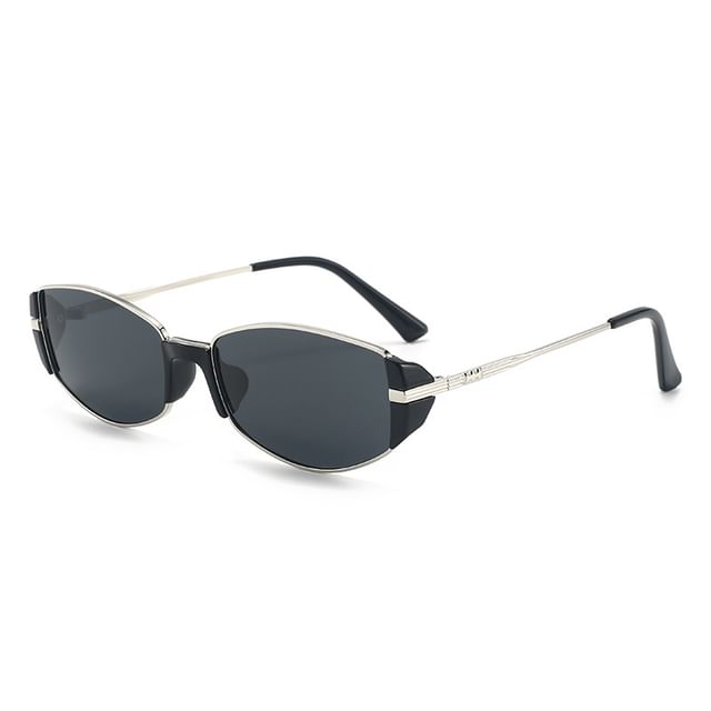 Panel Sunglasses Metal