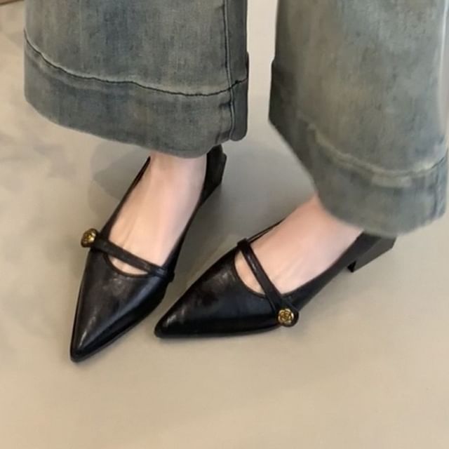 Jane Pointed Pumps Mary Low Heel