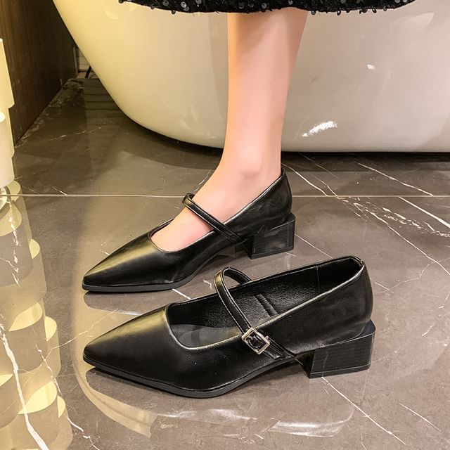 Shoes Mary Jane Pointy Heel Chunky