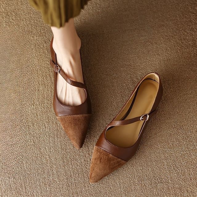 Pointed Leather Flats Faux