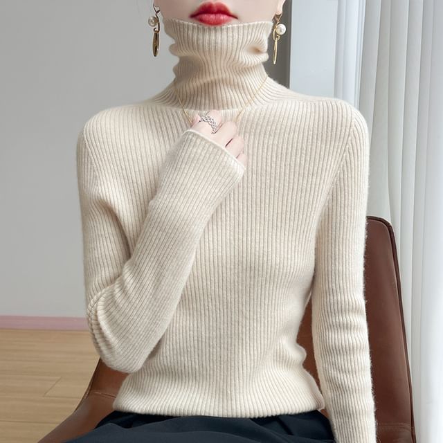 Plain Ribbed High Neck Long-Sleeved Knit Top