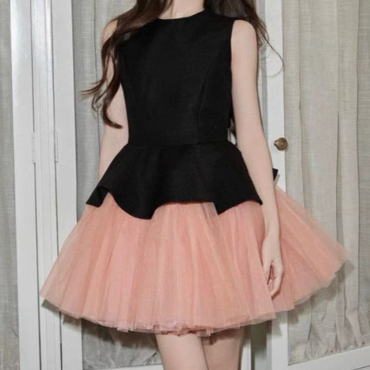 Sleeveless Crew Neck Two Tone Mesh Panel Mini A-Line Dress