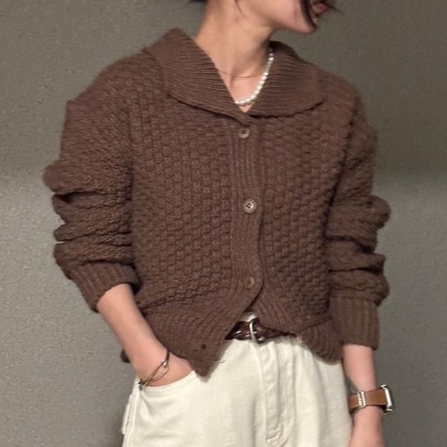 Chunky Knit Collared Button-Up Cardigan