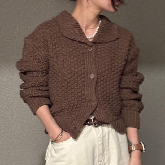 Chunky Knit Collared Button-Up Cardigan