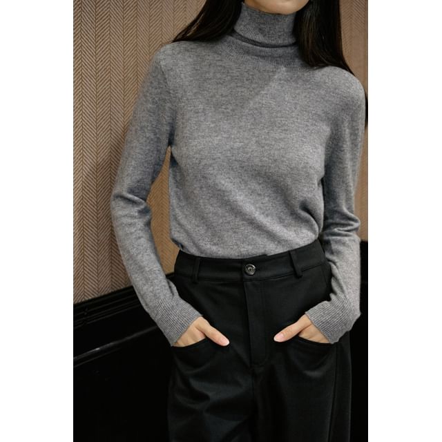 Long-Sleeve Turtleneck Knit Top