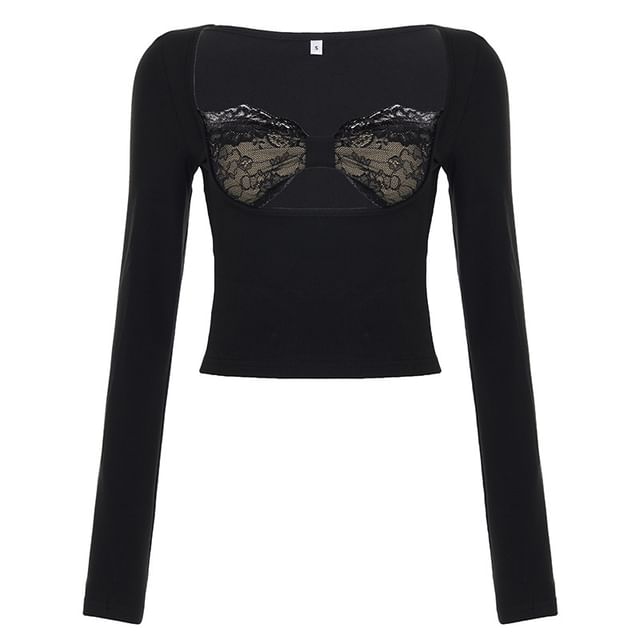 Sheer Paneled Fitted Crop Top with Mock Neck and Lace Trim