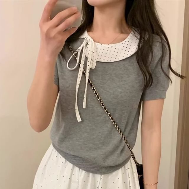 Dotted Panel Knit Top with Short Sleeves