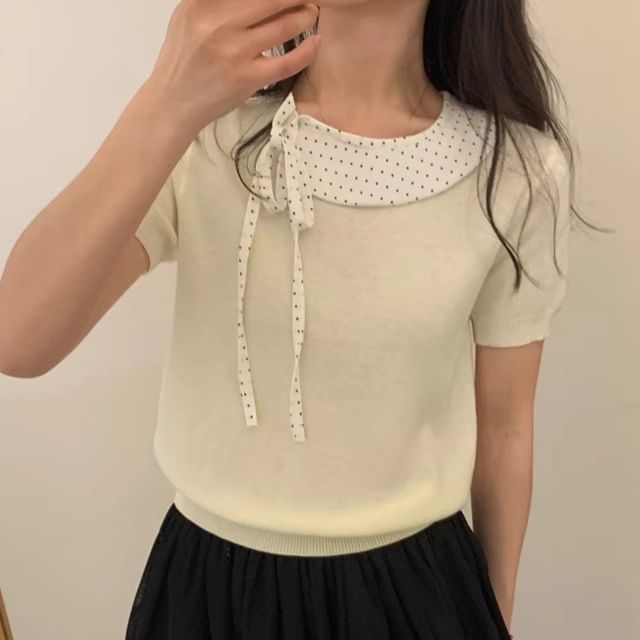 Dotted Panel Knit Top with Short Sleeves
