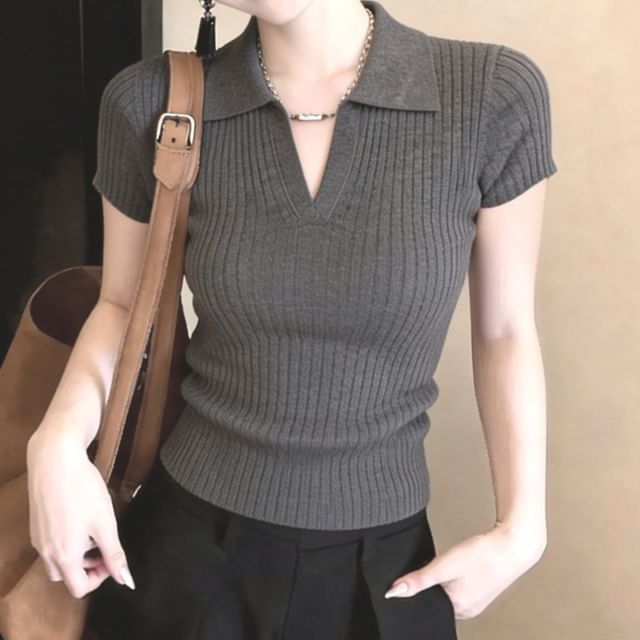 Knit Polo Top with Short Sleeves