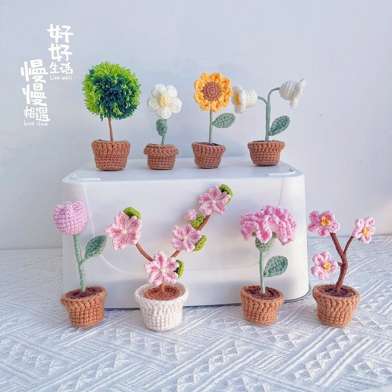 Kawaii DIY Mini Crochet Pot Culture Susan